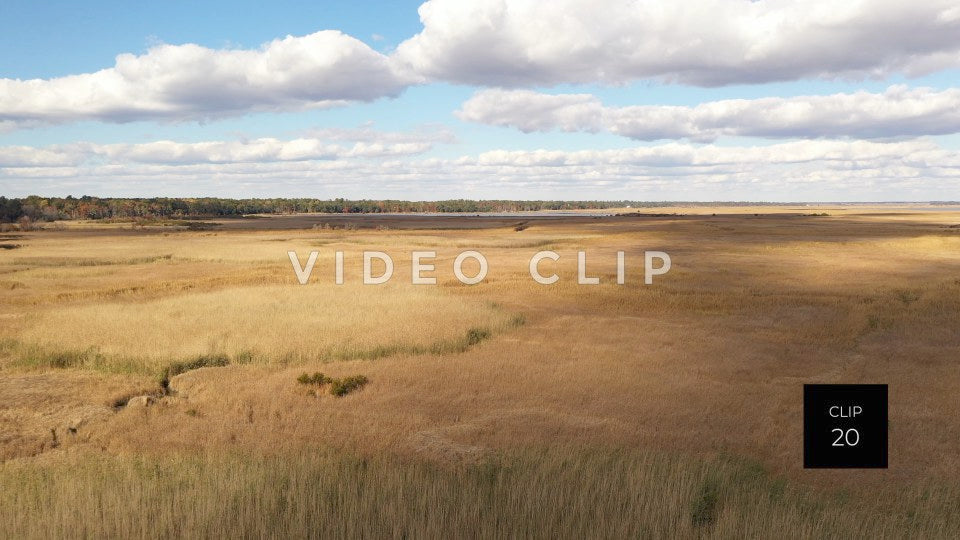 stock video ricefields south carolina steve tanner stock