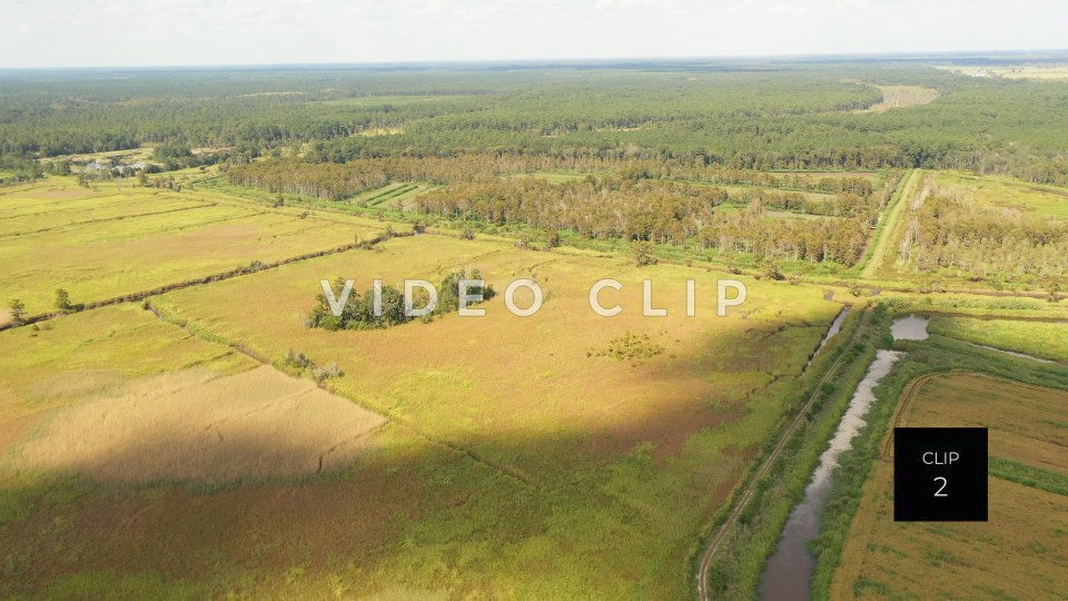 stock video ricefields south carolina steve tanner stock