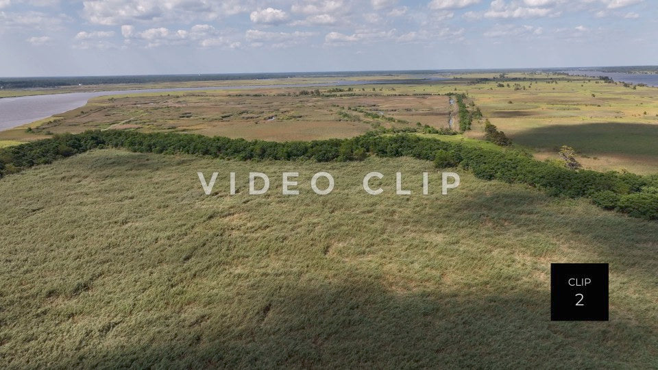 stock video ricefields south carolina steve tanner stock