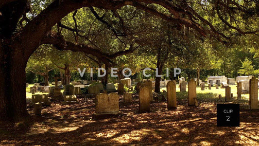 CLIP 2 - Indiantown Presbyterian Church cemetery with live oak trees