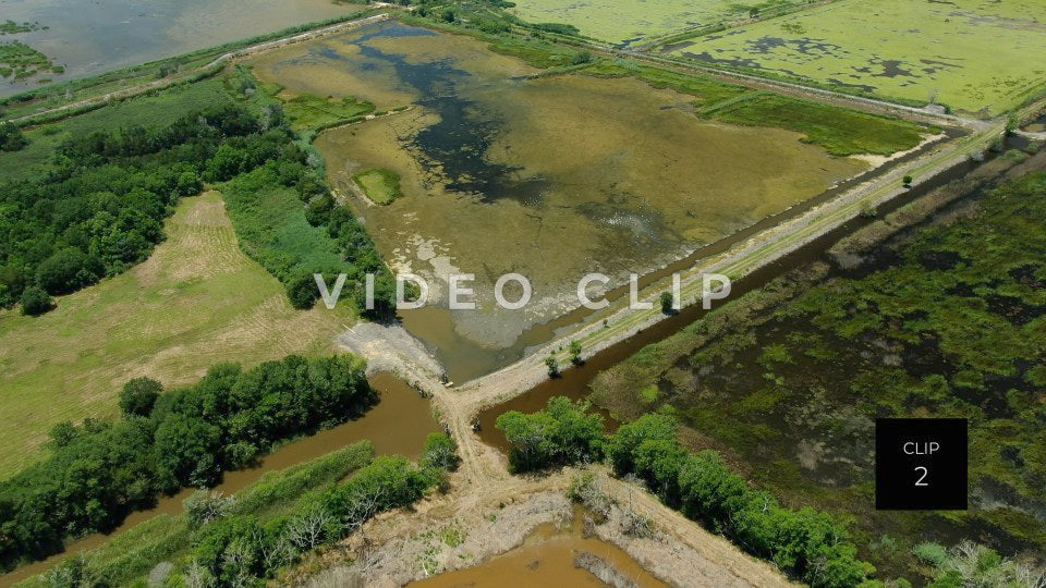 stock video estherville rice fields south carolina steve tanner stock