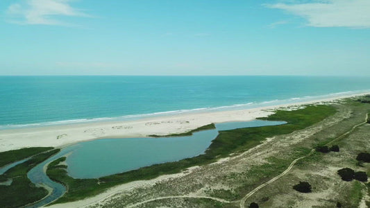 Video - Beautiful ocean shoreline at Huntington Beach State Park in South Carolina