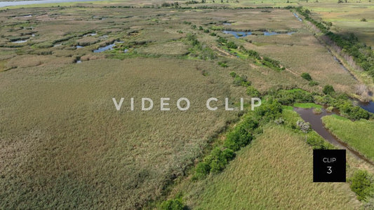 stock video ricefields south carolina steve tanner stock