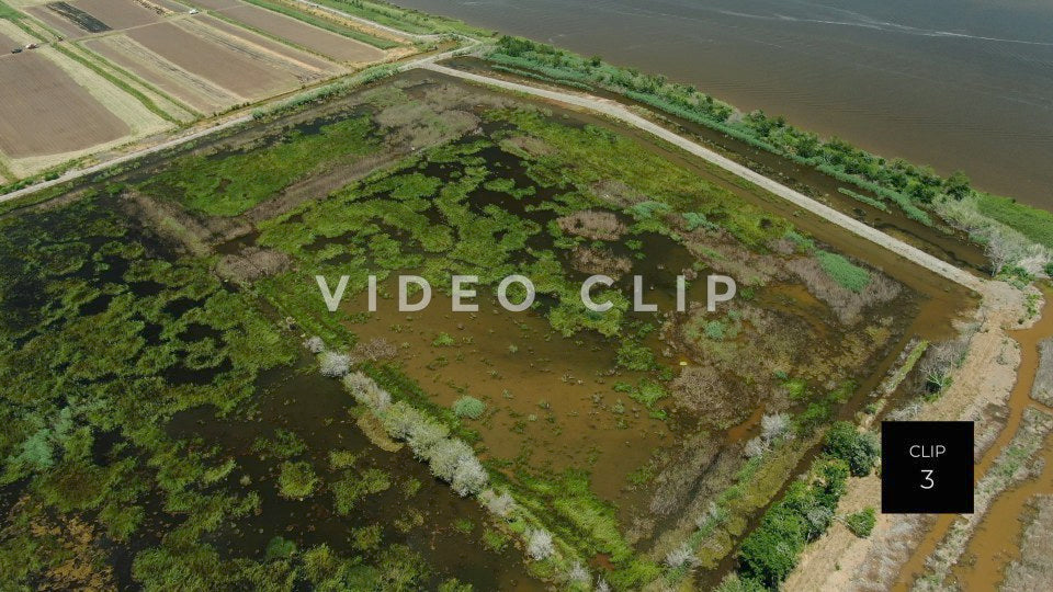 stock video estherville rice fields south carolina steve tanner stock