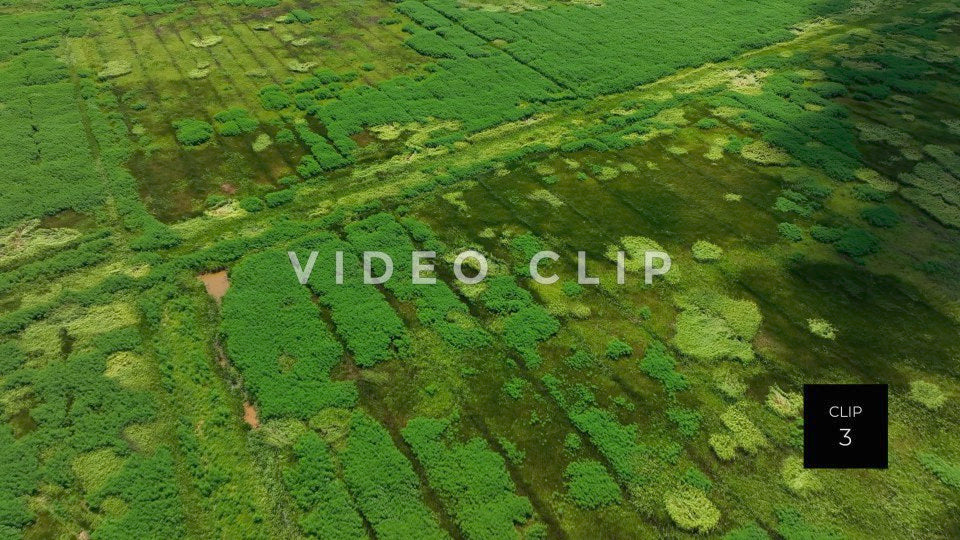 stock video ricefields south carolina steve tanner stock