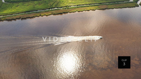 Stock video Georgetown, SC rice fields steve tanner stock