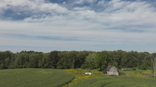 Video - Timelapse - Clouds passing over peaceful corn field with barn