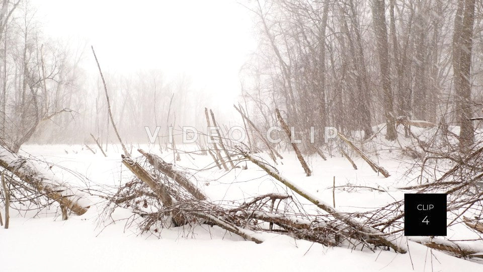 CLIP 4 - Winter snow falls over frozen lake in nature area