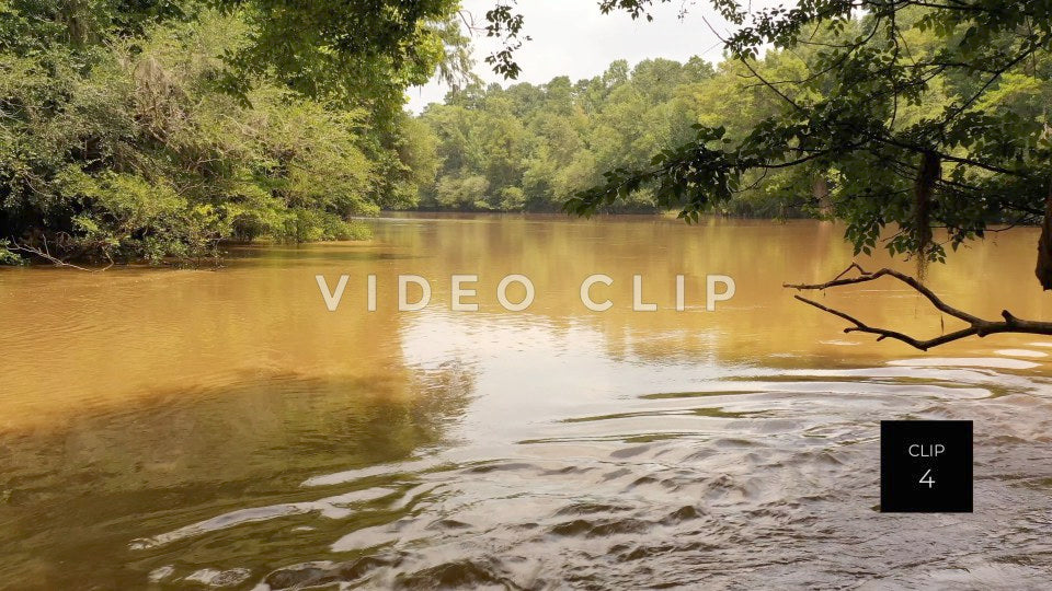 CLIP 4 - Hawkinsville, GA Okmulgee river flowing past cypress knees