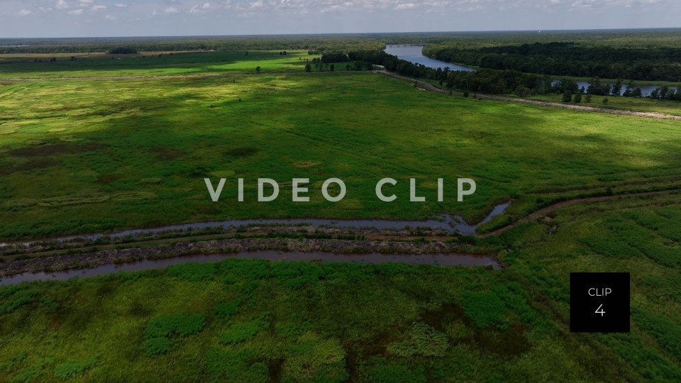 stock video ricefields south carolina steve tanner stock