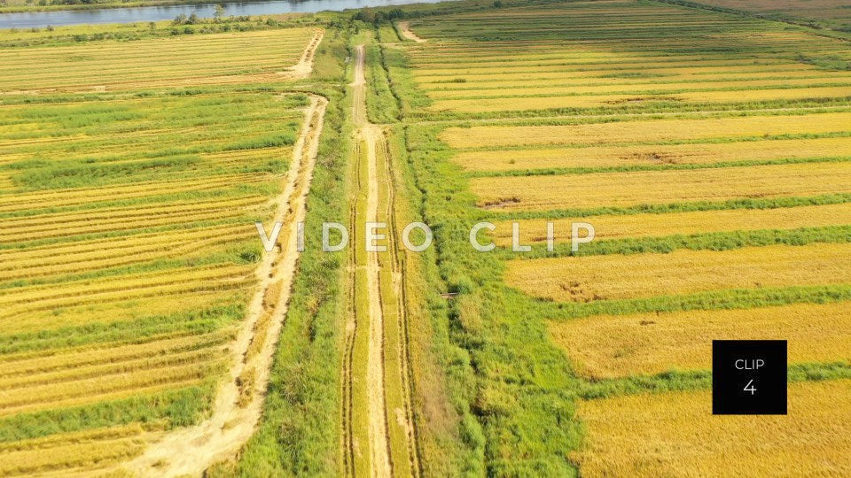 stock video ricefields south carolina steve tanner stock