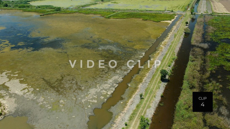 stock video estherville rice fields south carolina steve tanner stock