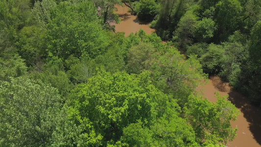 Video - Springtime in Georgia tree top flying over Apalachee river