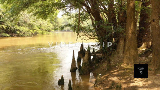 CLIP 5 - Hawkinsville, GA cypress trees on Okmulgee river