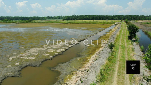 stock video estherville rice fields south carolina steve tanner stock