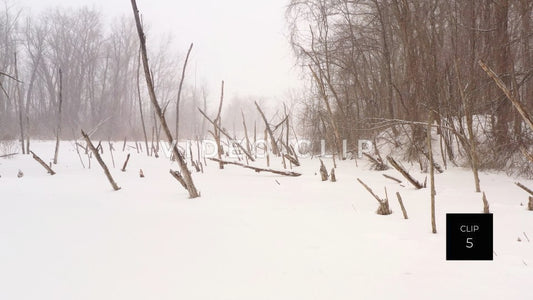 CLIP 5 - Winter trees frozen in pond with snow