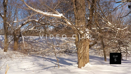 CLIP 5 - Trees covered in Winter snow beside railroad tracks in outdoor park