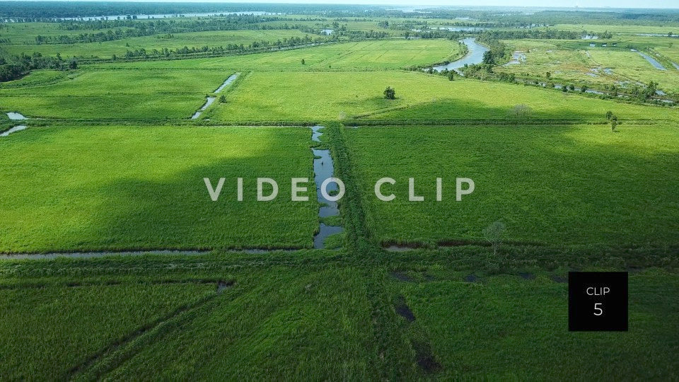 stock video rice fields south carolina steve tanner stock