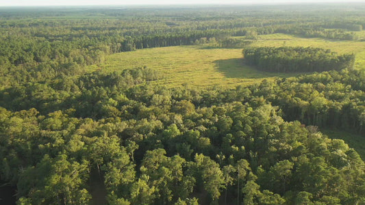 Video - Aerial flight over country side pasture in beautiful late afternoon sunlight