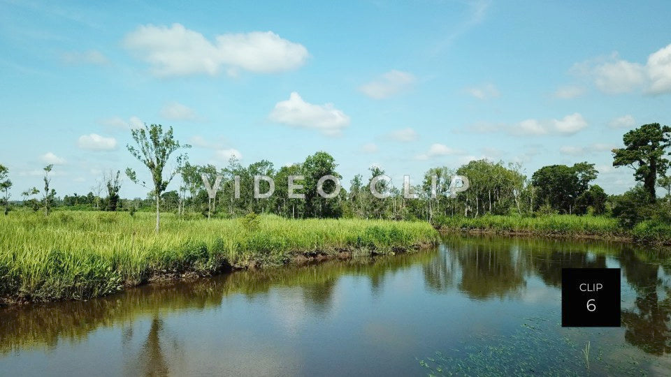 stock video rice fields south carolina steve tanner stock