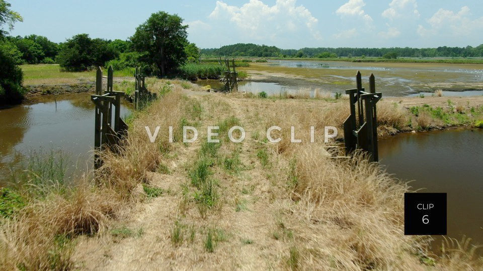 stock video estherville rice fields south carolina steve tanner stock