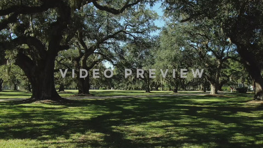 Video - Golf Course country club golfer drives by in golf cart past live oak trees