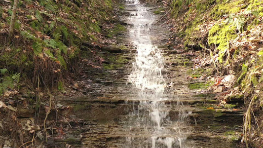 Video - Mountain forest with gentle waterfall during Spring season at Hemlock Finger Lake in New York