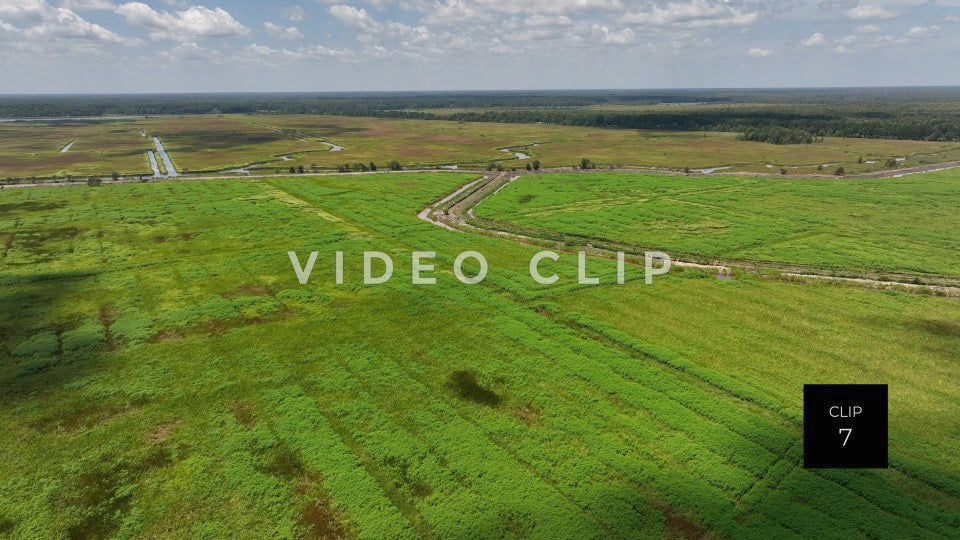 stock video ricefields south carolina steve tanner stock