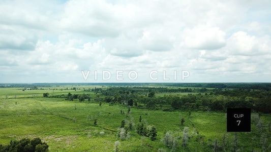 stock video rice fields south carolina steve tanner stock