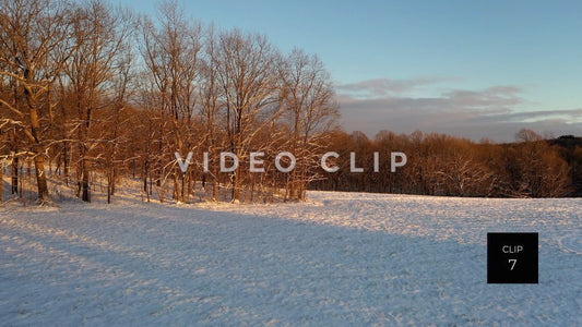 CLIP 7 - Field with fresh Winter snowfall and sunlight in trees at sunset