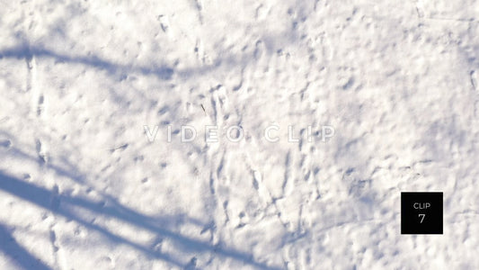 CLIP 7 - Snow covered ground in Winter at Ellison Park, NY