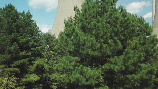 Video - Close view of smoke stack from coal fired power plant Scherer in Georgia