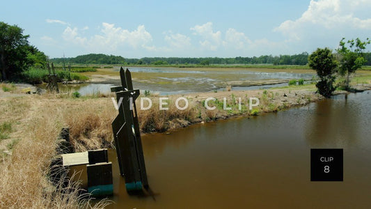 stock video estherville rice fields south carolina steve tanner stock