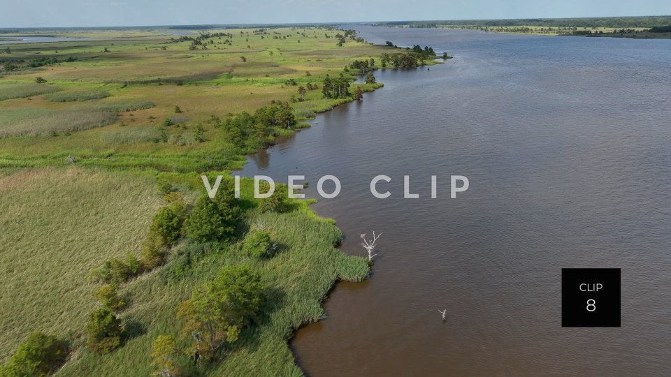 stock video ricefields south carolina steve tanner stock