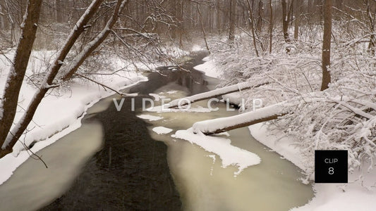 CLIP 8 - Wintertime with snow beside gentle creek in forest