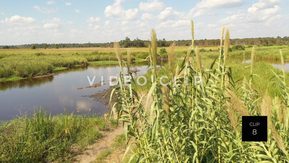 stock video ricefields south carolina steve tanner stock