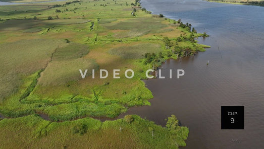 stock video ricefields south carolina steve tanner stock