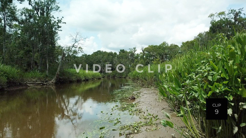 stock video rice fields south carolina steve tanner stock