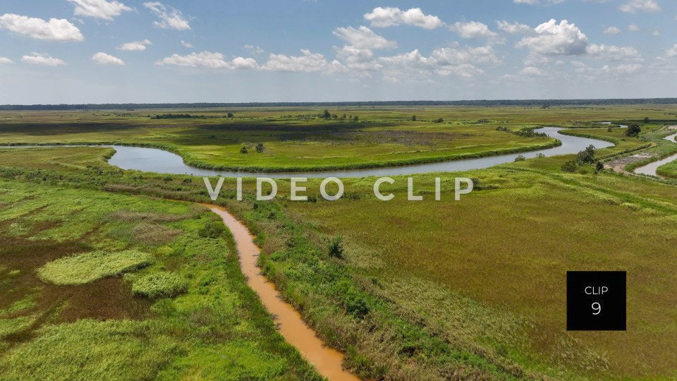 stock video ricefields south carolina steve tanner stock