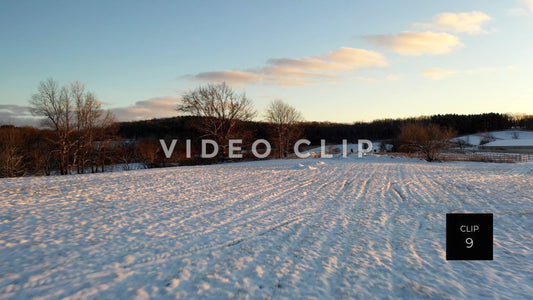 CLIP 9 - Late afternoon sunlight on freshly fallen snow in field