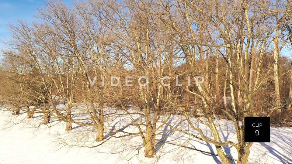 CLIP 9 - Person riding bike around trees in Winter at Ellison Park, NY