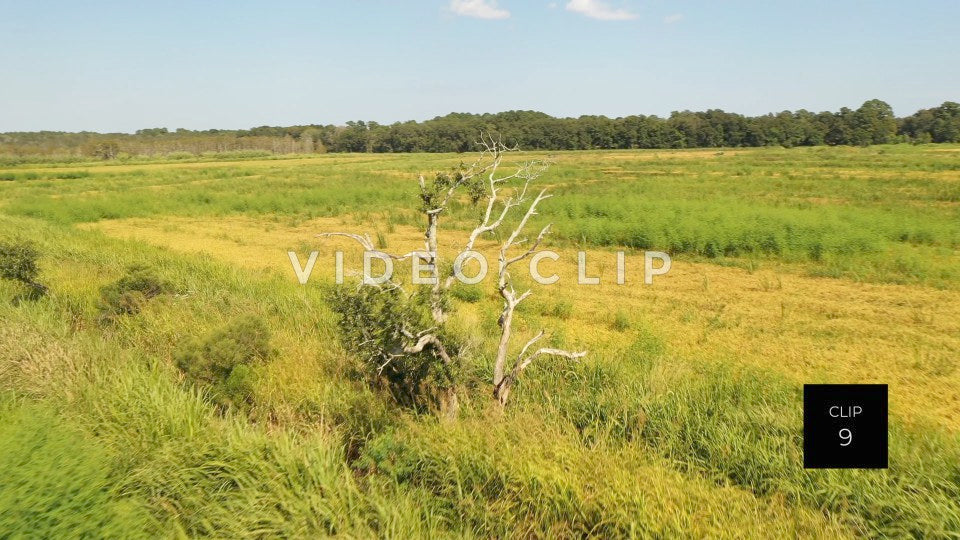 stock video ricefields south carolina steve tanner stock