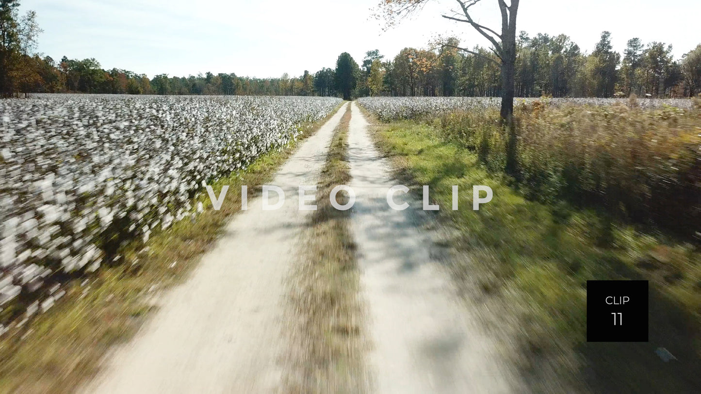 CLIP 11 - South Carolina Cotton Field