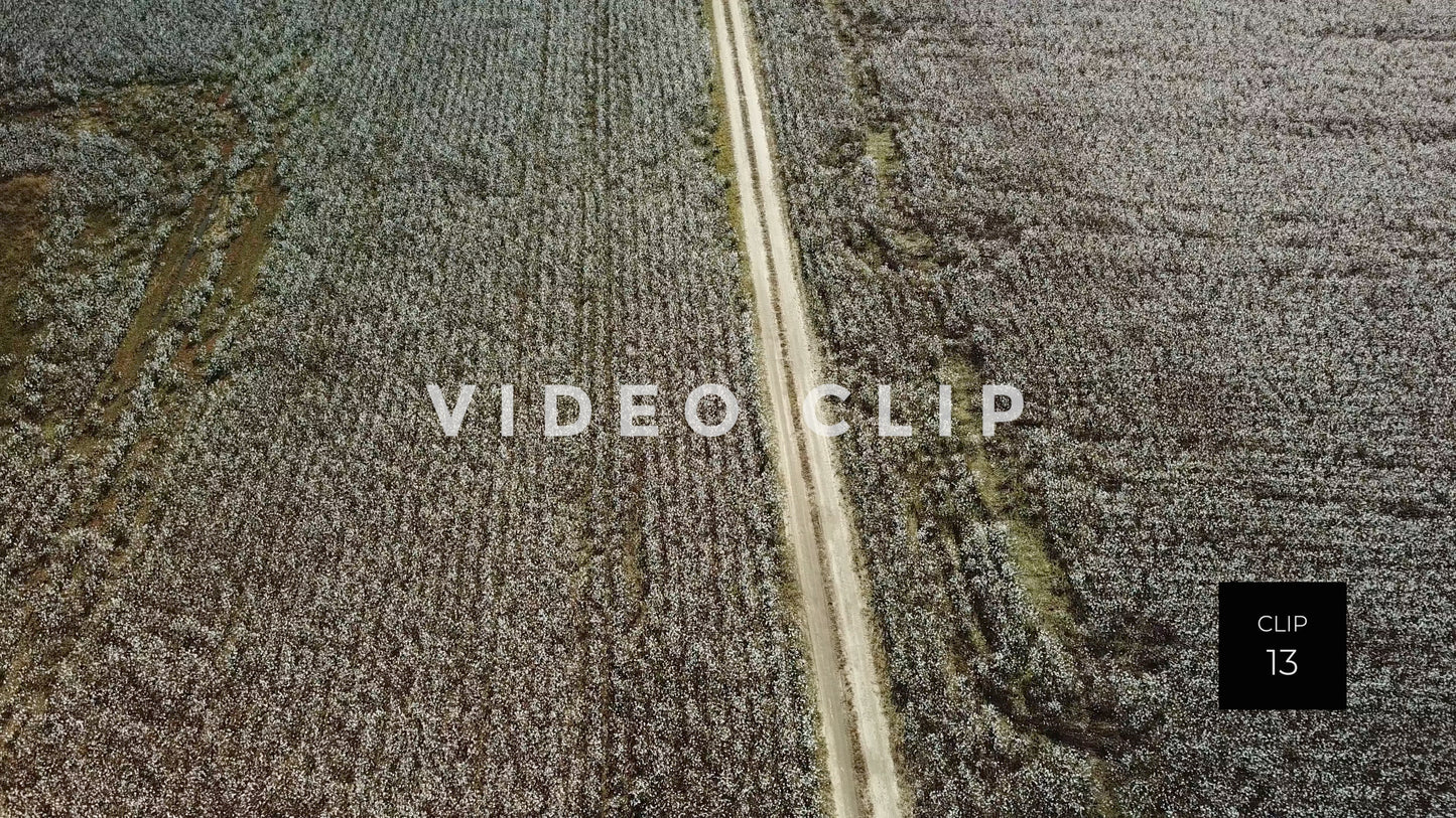 CLIP 13 - South Carolina Cotton Field