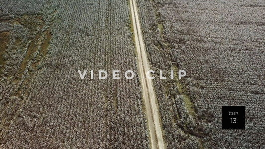 CLIP 13 - South Carolina Cotton Field