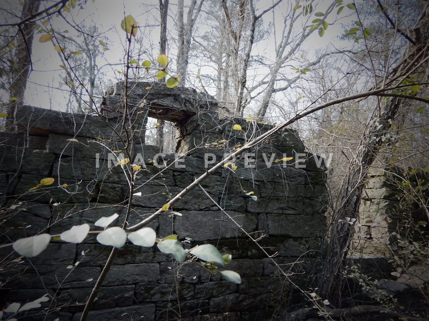 Photo - Stone wall remains of spillway damn beside Flint River in Georgia