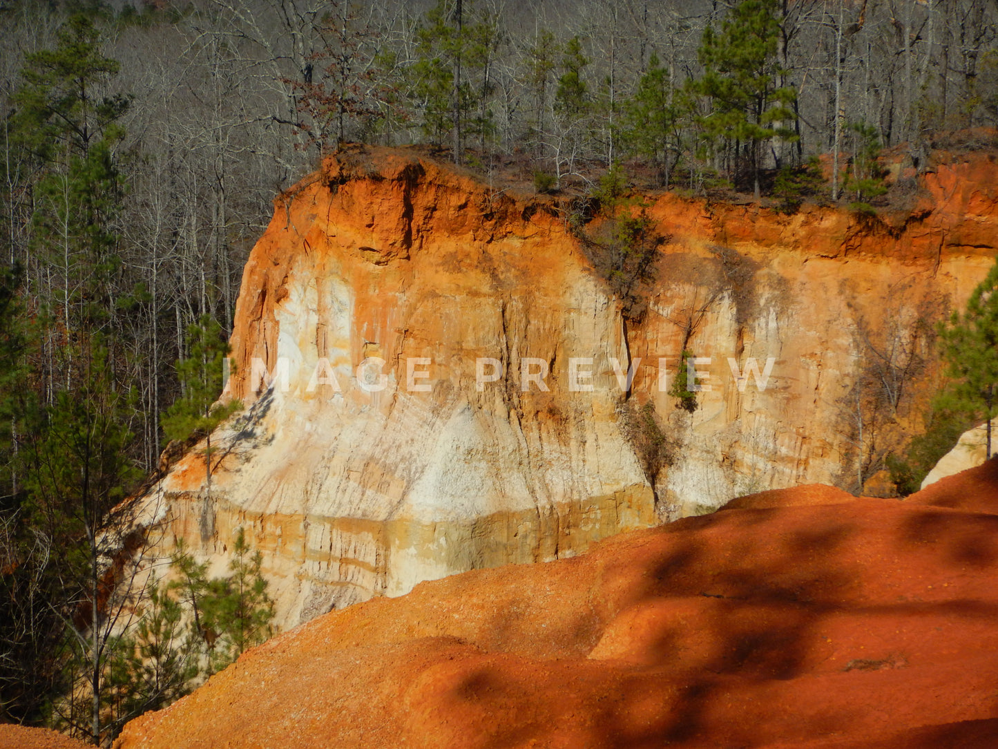 Photo - Erosion caused by poor farming practices in Providence Canyon, Georgia