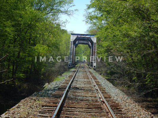 Photo - Railroad track and bridge crossing swamp land