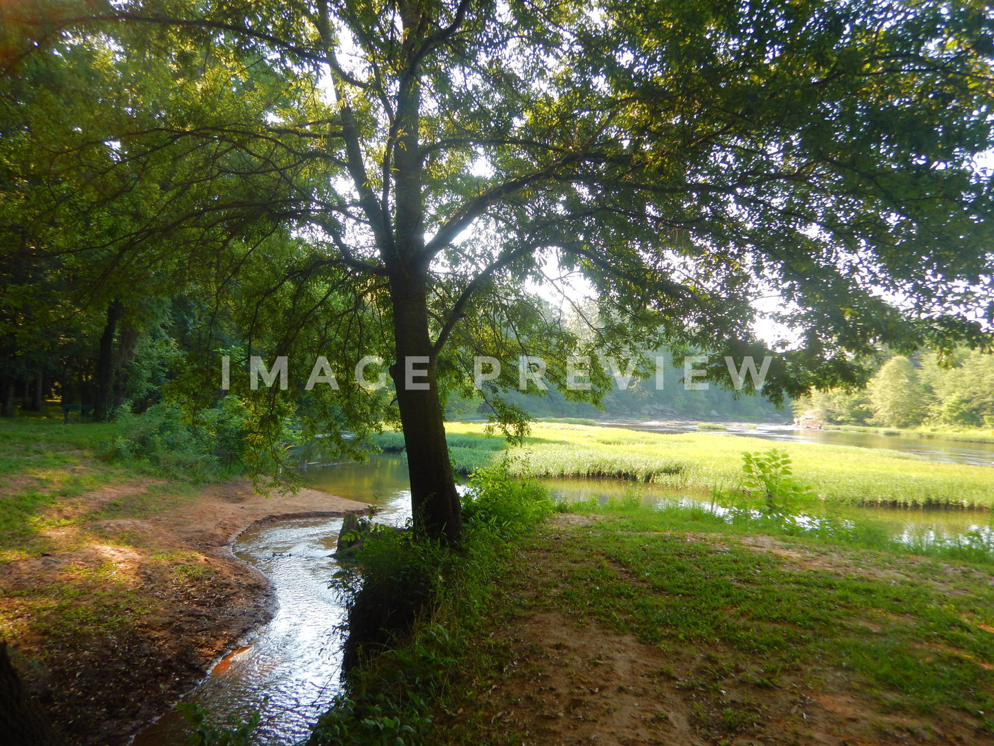 Photo - Peaceful creek flows into Flint River in Georgia