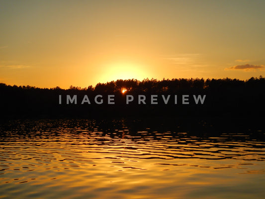 Photo - Golden sunset behind trees by lake